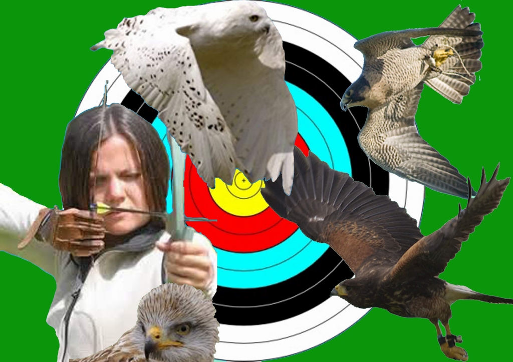 Archery page_Flattened